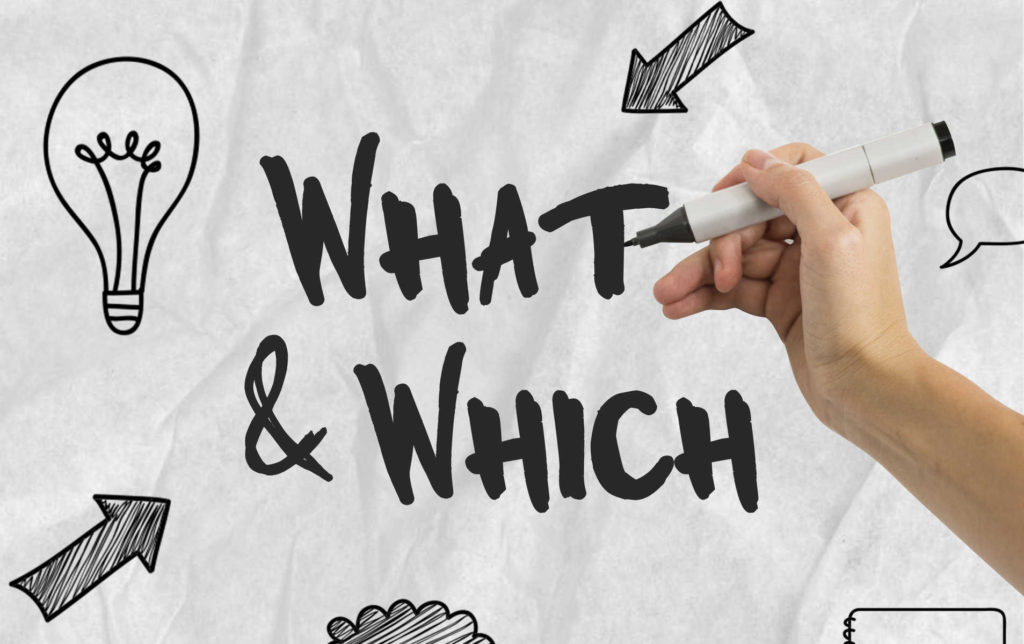 uso de which e what scaled