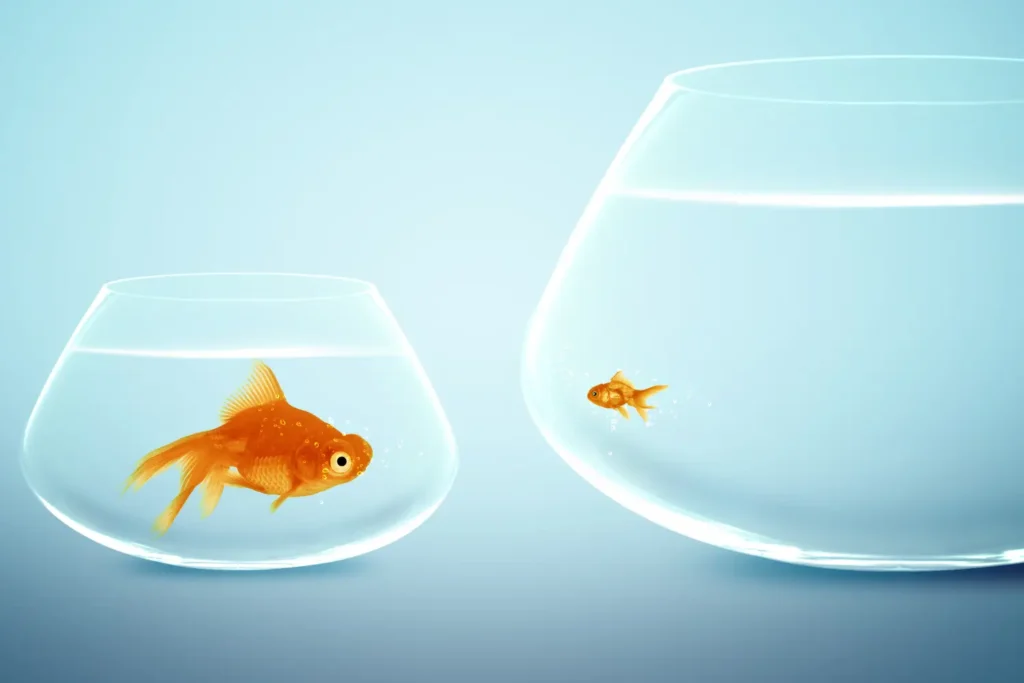 aumentativo e diminutivo em inglês