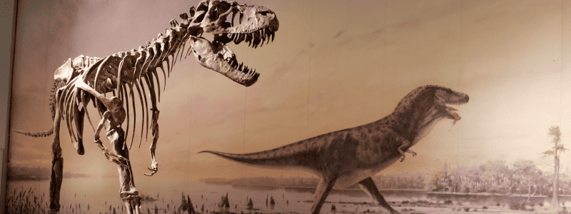 Discovering Dinosaur Land